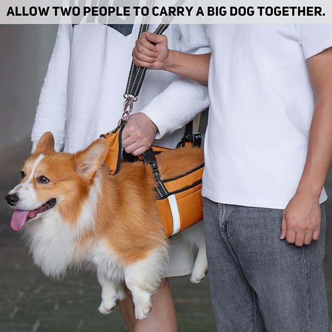 COODEO Mobility Dog Lift Harness, Emergency Carry Sling, Pet Rear Leg Support Rehabilitation Lifts Vest, Dog Carrier for Senior Dogs Joint Injuries, Arthritis (Orange, XL)-PawvioPets