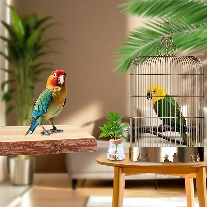 Bird Toys Parakeet Perch Budgie Perch Wood Stand Fork Toys Multi-Branch Perch Platform Toy for Small Conures,Cockatiel,Parrotlet,Lovebird,Parrot,Finches-PawvioPets