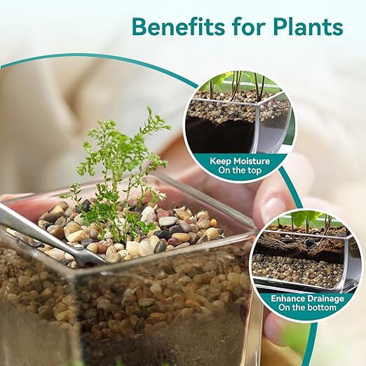 2.5 lbs Small Rocks for Plants, 1/5 Inch Gravel for Plants Drainage, Decorative Potting Pebbles for Indoor Plants, Vases, Bamboo, Succulent, Terrarium, Crafts, Cactus-PawvioPets