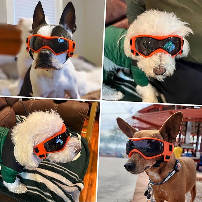 Dog Goggles Dog Sunglasses for Medium Breed UV Protection Windproof with Adjustable Head Straps Chin Straps for Ride Car/Hiking Travel/On Beach-Orange-PawvioPets
