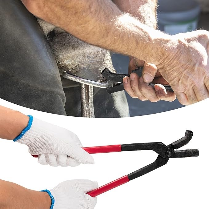 1112 Temp 11pcs Farrier Tools Farrier kit Horse shoeing Tools Farrier Supplies Farrier Tools for Horses Cattle Sheep and Donkeys-PawvioPets