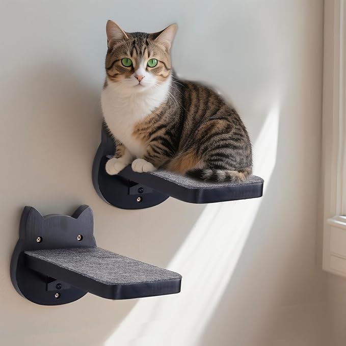 ESPETS Black Painted Solid Wood Cat Wall Climbing Steps Set of 3 - Wall Mounted Cat Floating Furniture Shelves and Perches, Sturdy Climber Stairs Ladders - Holds up 30lbs-PawvioPets