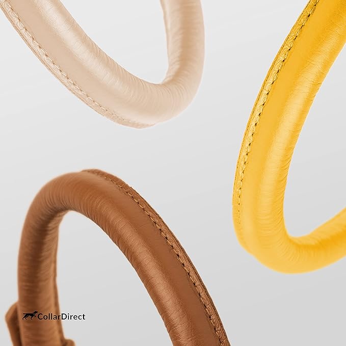 CollarDirect Rolled Leather Dog Collar, Soft Padded Round Puppy Collar, Handmade Genuine Leather Collar Dog Small Large Cat Collars 13 Colors (15-19 Inch, Yellow Textured)-PawvioPets