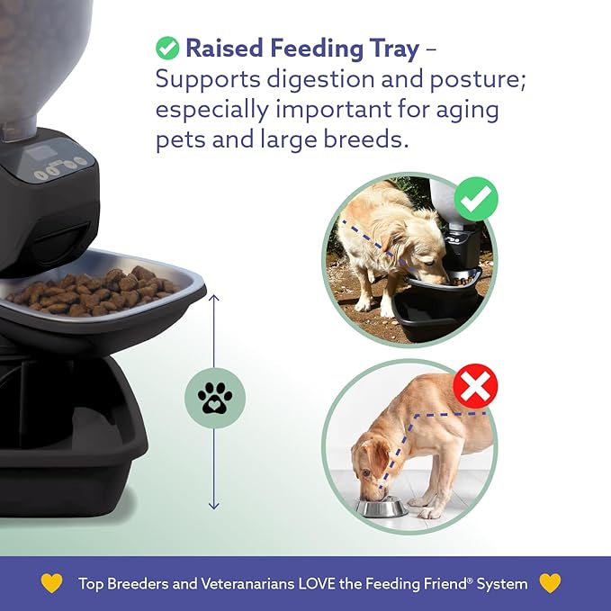 Automatic Dog & Cat Food Feeder with Water Dispenser – Smart Pet Feeder with Portion Control, OLED Display, Anti Jam Design, Battery Operated Dispenser for Small Pets - Black-PawvioPets