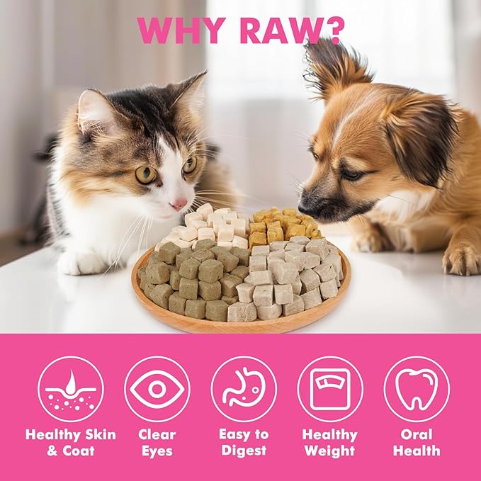 Freeze Dried Cats & Dogs Raw Treats, All Natural Single Ingredient Salmon, High Protein Healthy Pet Training Treats or Food Topper, 3.5 oz-PawvioPets