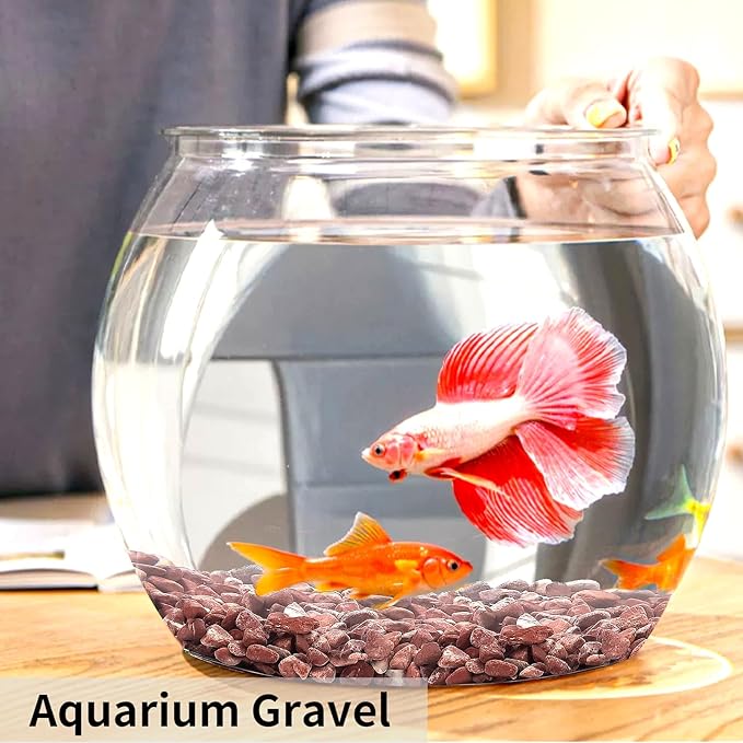 5 lbs Succulent and Cactus Pebbles for Indoor Plants, 3/8 Inch Pea Gravel Decorative Red River Rocks for Plants, Vases, Terrarium, Aquarium, Potted Top Dressing and Outdoor Landscaping Stones-PawvioPets