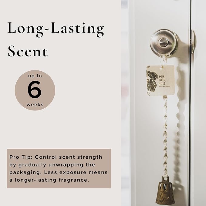 Broken Top Botanical Car Air Freshener Variety Pack, 6 Pack (2 Coconut Sandalwood, 2 Saguaro Cactus, 2 Sea Salt Surf)-PawvioPets