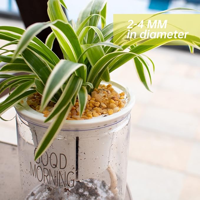 7lb Cactus Pea Gravel Rocks,1/5 Inch Pebbles for Indoor Plants, Natural Succulent Rock and River Rocks Decorative for Aquariums, Vases, Terrarium, Outdoor Gardening, Top Dressing for Potted Plants-PawvioPets