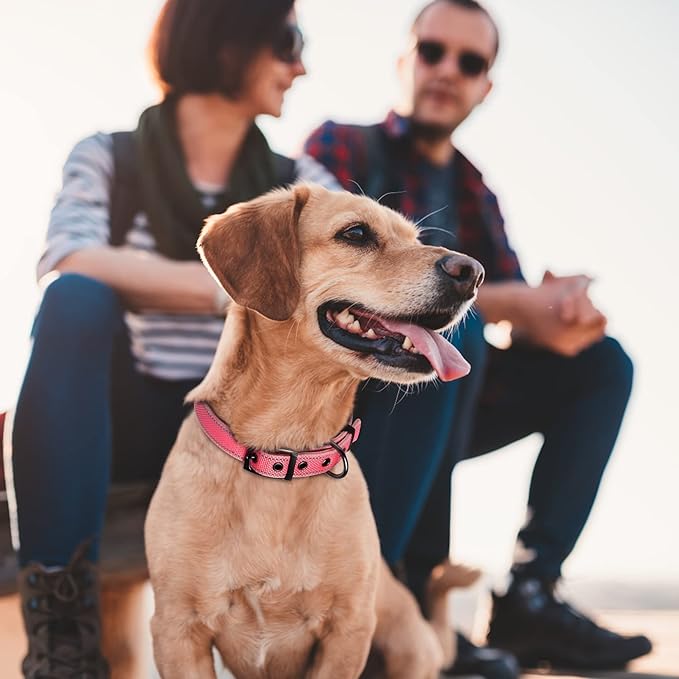 Fida Heavy Duty Dog Collar, Ultra Comfortable Soft Neoprene Padded, Adjustable Reflective Nylon Pet Collar with Durable Metal Belt Buckle for Small Breeds (S, Pink)-PawvioPets