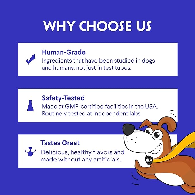 Bone Broth for Dogs – Bone Broth Powder with Organic Mushrooms & Collagen for Digestion, Immunity & Joint Support – Tasty Beef Supplement for Dogs of All Ages, Sizes & Breeds – 3.20 oz-PawvioPets