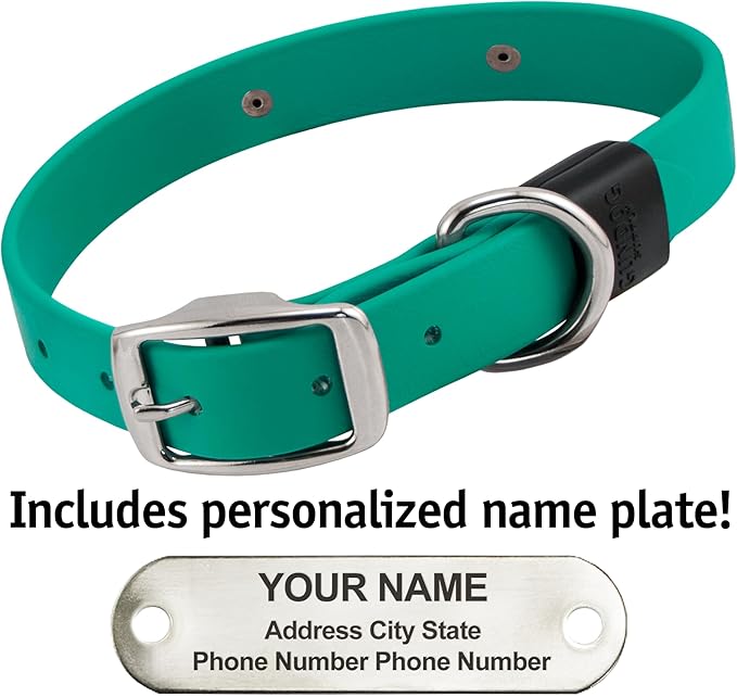 Biothane Custom Dog Collar – Waterproof, Stink-Proof Personalized Collar with Name & Phone Number – Durable, Many Sizes and Colors – Assembled in USA – Assembled in USA (Teal)-PawvioPets