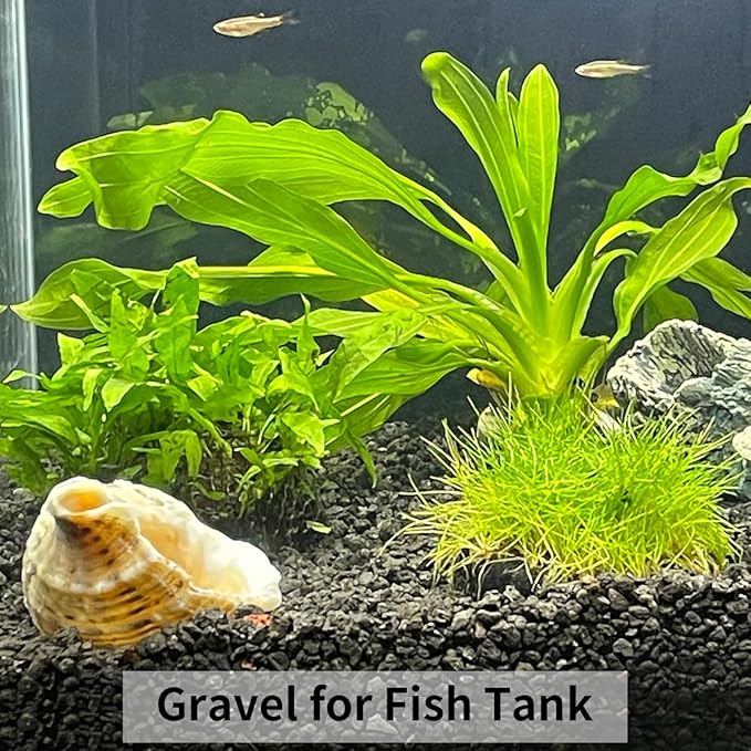 10LB Black Pea Gravel for Landscaping, 3/8 Inch Black Pebbles for Plants Cactus Succulent Fish Tank and Garden Black Stones-PawvioPets