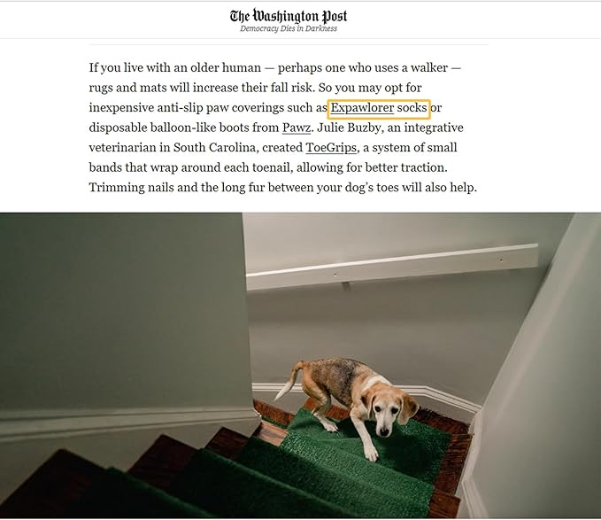 EXPAWLORER Anti Slip Dog Socks to Prevent Licking Paws, Dog Shoes for Hot Pavement, Dog Booties for Small Medium Large Senior Dogs, Traction Control Dog Boots & Paw Protectors for Hardwood Floors-PawvioPets