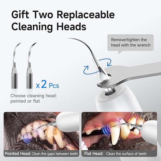 Electric Dog Plaque & Tartar Remover - Pet Teeth Cleaning Kit with LED Light, 5 Adjustable Modes, Safe and Low Noise – Easy Home Dental Care for Dogs and Cats-PawvioPets