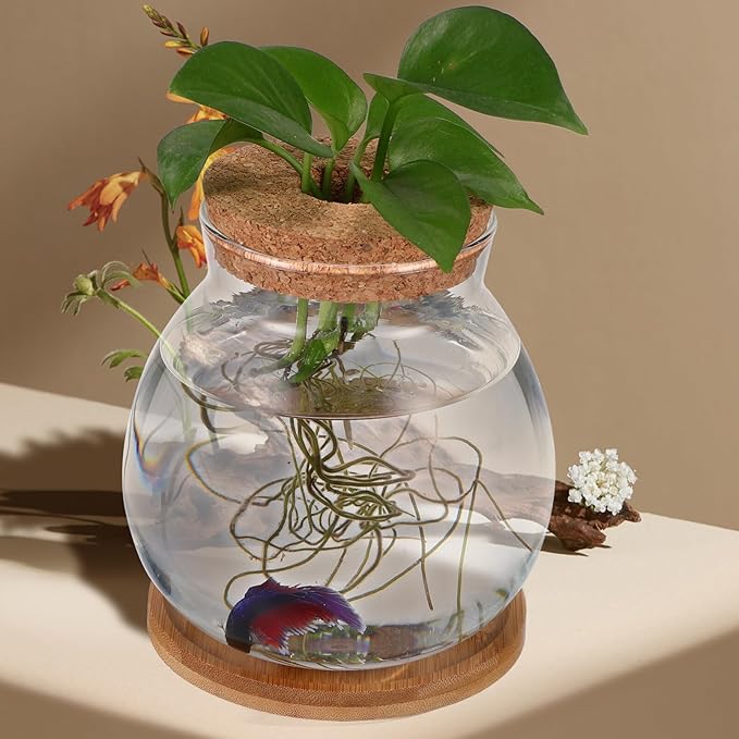 Desktop Fish Bowl Clear Glass Small Betta Fish Tank with Wood Lid and Bamboo Stand Table Hydroponic Plants Terrarium for Home Office Decoration 13 * 14cm-PawvioPets
