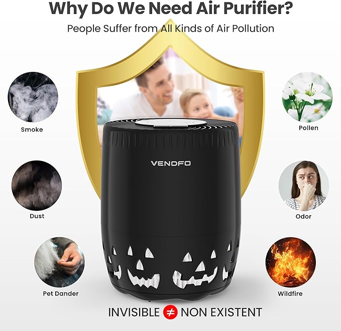 Air Purifiers for Home Bedroom up to 1076ft², True HEPA Air Filters Dust Pets Smoke Hair, 3 Fan Speeds Quiet, Timer Settings, Rechargeable Air Cleaner Office, Bedroom, Pets, Car(Black)-PawvioPets