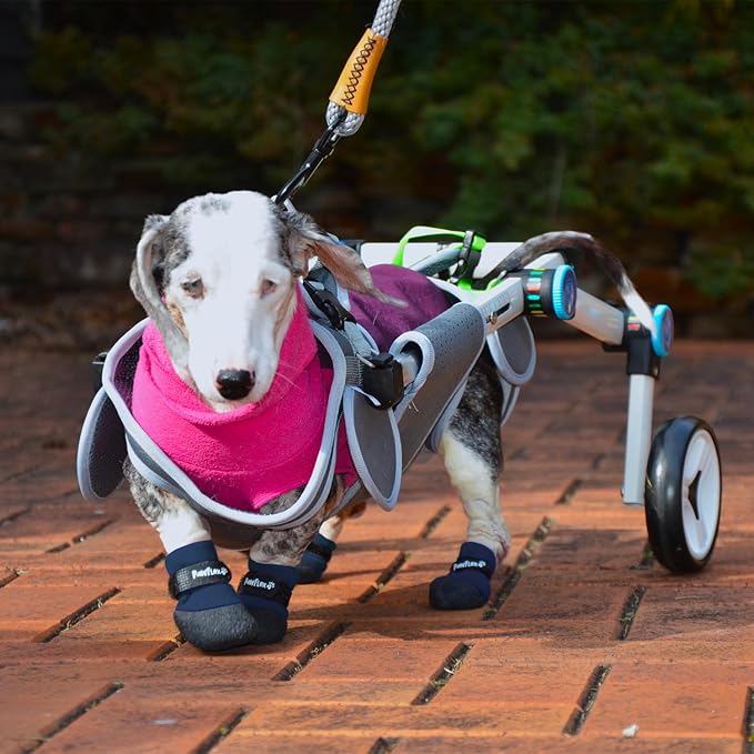 Double Dipped Thick Textured Waterproof Cotton Dog Socks | PawFlex Comfy Pawz Soft Indoor/Outdoor Pet Booties | Non-Slip Silicone Grip at Inner Wrist for No Twisting or Sliding Off| Adjustable Strap-PawvioPets