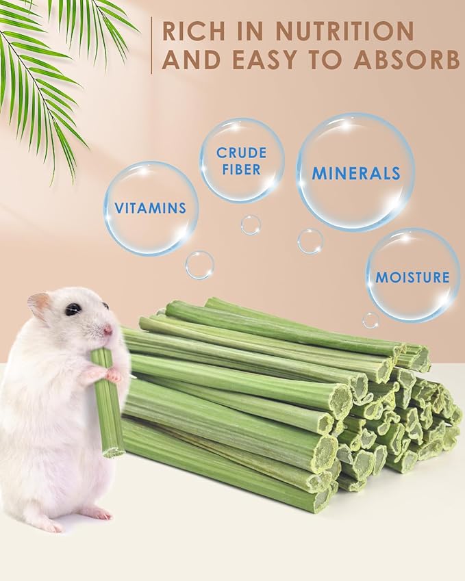 Bissap 50PCS Rabbit Chew Sticks, Natural Papaya Stems Bunny Chews Treats for Rabbits Hamsters Chinchillas Guinea Pigs Small Animals Organic Molar Chewing Snack-PawvioPets