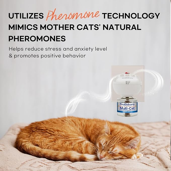Cat Calming Pheromone Diffuser: Cat Calming Pheromones Diffusers - Reduces Stress & Anxiety with Calming Pheromones-PawvioPets