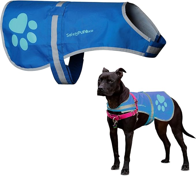 Dog Reflective Vest – Hi-Vis Fluorescent Visibility That Helps to Safeguard Your Pet On/Off Leash in Urban & Rural Areas (Blue, Medium)-PawvioPets