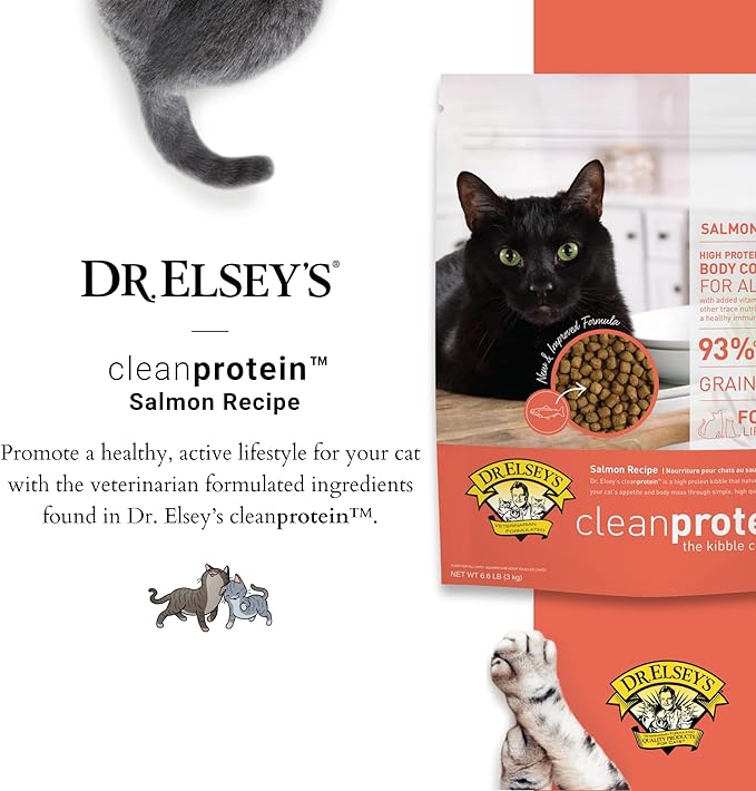 Dr. Elsey's Cleanprotein Salmon Formula Dry Cat Food, 6.6 Lb-PawvioPets
