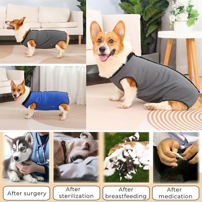 Dog Surgery Recovery Suit,Abdominal Surgical Suit for Dogs,Recovery Suit for Dogs,Prevent Licking Surgical Wound Dog Cone Alternative Grey M-PawvioPets
