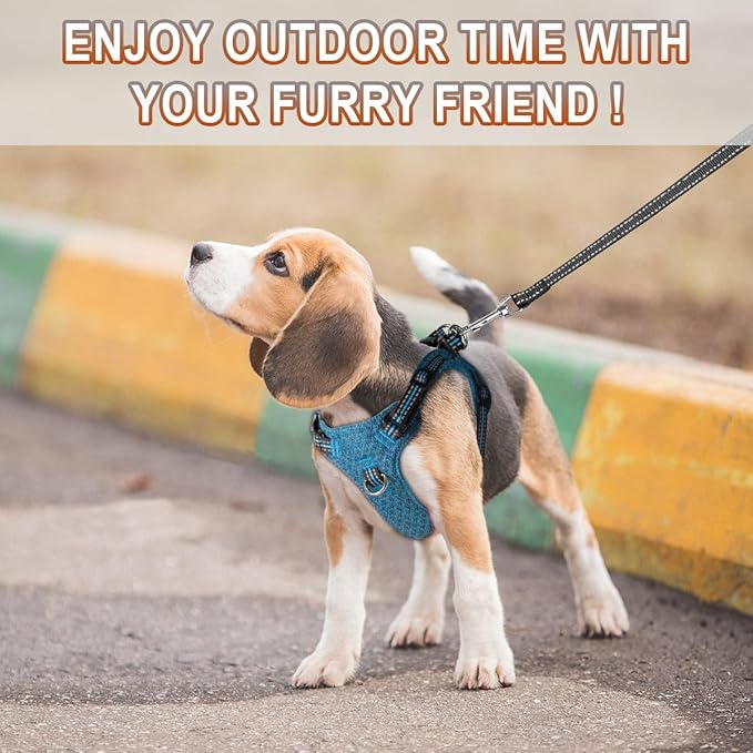 BARKBAY Dog Harness, Reflective Adjustable Puppy No Pull Harness, Breathable Soft, X-Small, Blue/Black-PawvioPets