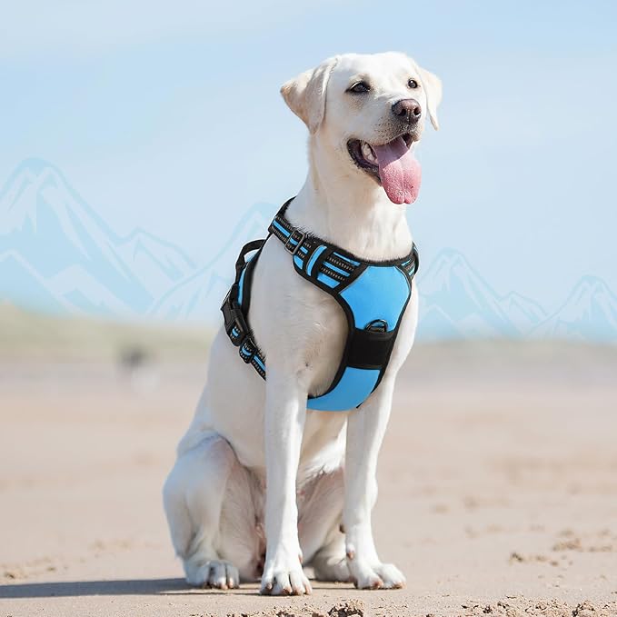 Eagloo Dog Harness for Large Dogs, No Pull Service Vest with Reflective Strips and Control Handle, Adjustable and Comfortable for Easy Walking, No Choke Pet Harness with 2 Metal Rings, Sky Blue, L-PawvioPets
