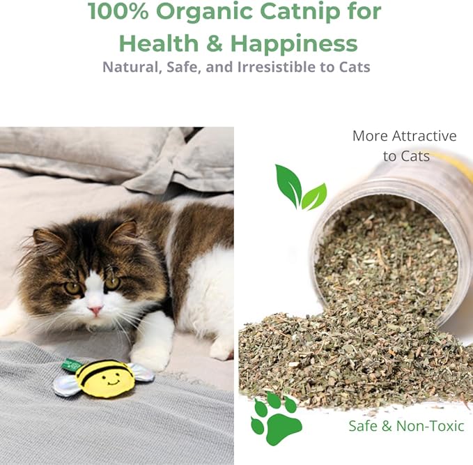 Eco-Friendly Cat Gift Box – 7-Piece Set with Organic Catnip Toys, Feather Wand, Blanket & Pop-Up Cat Cave for Indoor Cats and Kittens-PawvioPets