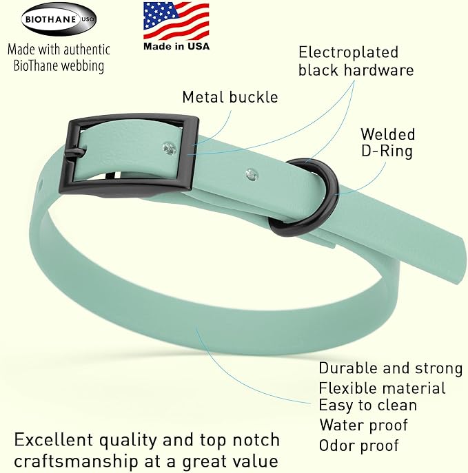 Dogline Biothane Waterproof Dog Collar Strong Coated Nylon Webbing with Black Hardware Odor- Proof for Easy Care Easy to Clean High Performance Fits Small Medium or Large Dogs, Sage Green-PawvioPets