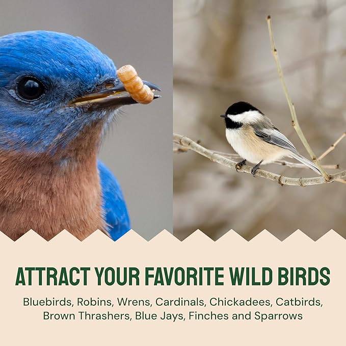 Dried Mealworms - 2 Lb Bag - High Protein Chicken Feed, Mealworms for Birds & Chickens - Meal Worms for Wild Birds & Turtles-PawvioPets