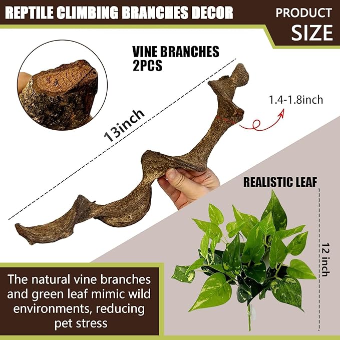BNOSDM 2Pcs Reptile Climbing Branches Decor,Snake Climbing Branch,Gecko Climb Wood,Lizard Forest Branch,Tank Habitat Tree Trunk Decorations for Bearded Dragons,Chameleons,Spider,Frogs (M)-PawvioPets