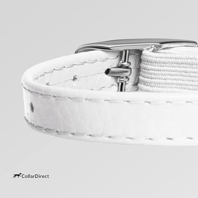 CollarDirect Leather Cat Collar, Kitten Collar with Removable Bell Black Blue Red Orange Lime Green (6-7 Inch, White)-PawvioPets