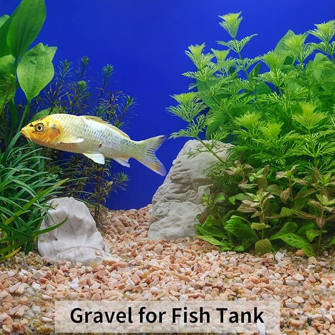 5lbs Natural Pea Gravel Pebbles, 3/8 Inch Decorative Succulent Rocks Pebbles for Indoor Plants. River Rocks for Vase and Outdoor Garden Landscaping Rocks-PawvioPets