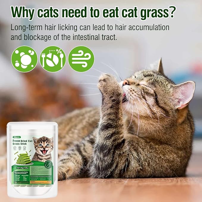 30g Cat Grass Sticks, Delicious Cat Grass Teething Stick Edible Cats Chew Toy Cat Treats Snack for Teeth Cleaning and Hairball Removal-PawvioPets