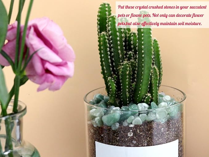 1lb Green Aventurine Aquarium Gravel Rocks Natural Tumbled Healing Crystal Chips Bulk Gemstones Crushed Stones for Fountain Vase Filler Planters Decorative Fish Tank Potted Reiki Energy Balancing-PawvioPets