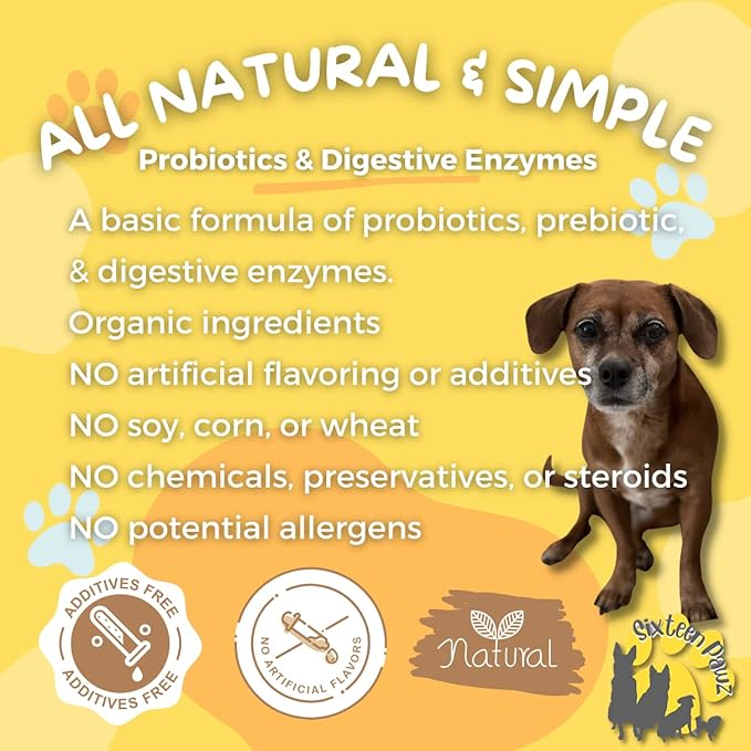 Dog & Cat Probiotics, Prebiotics, & Digestive Enzymes – Flavorless Powder for Gut Health, Allergies, Itchy Skin, Gas & Diarrhea – Organic, Vet-Approved – 65g Bottle (Up to 65 Servings)-PawvioPets