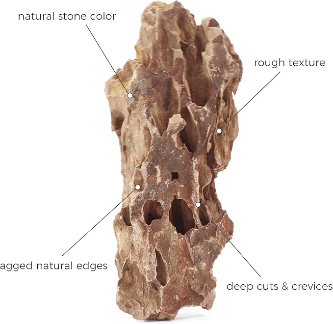 2-4 Inches Natural Dragon Stone 10 PCS Aquarium Rocks for Aquascaping, Aquarium Landscaping, Terrariums, Fish Tank Decoration, Vivariums, Paludarium, Reptile and Amphibian Enclosures-PawvioPets