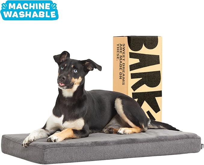 Barkbox Orthopedic Dog Bed with Memory Foam, Premium Comfort for Dogs and Puppies, Dog Beds for Joint Relief and Restful Sleep, Durable and Easy to Clean - Grey, Medium-PawvioPets
