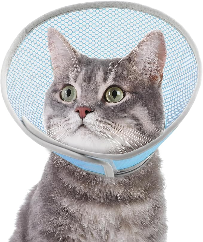 Cat Cone Collar Soft to Stop Licking After Surgery, Waterproof Lightweight Recovery Collar for Cats and Small Dogs, Elizabeth Plastic Cone Alternative, Neck Pillow to Prevent Scratches-PawvioPets