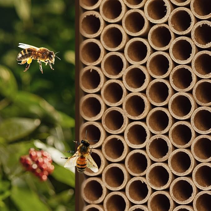 200pcs Cardboard Bee House Nesting Tubes - 6" Long X 5/16" Diameter Tube for Mason Solitary Bees - for Filling Insect Hotels and Bug Houses-PawvioPets