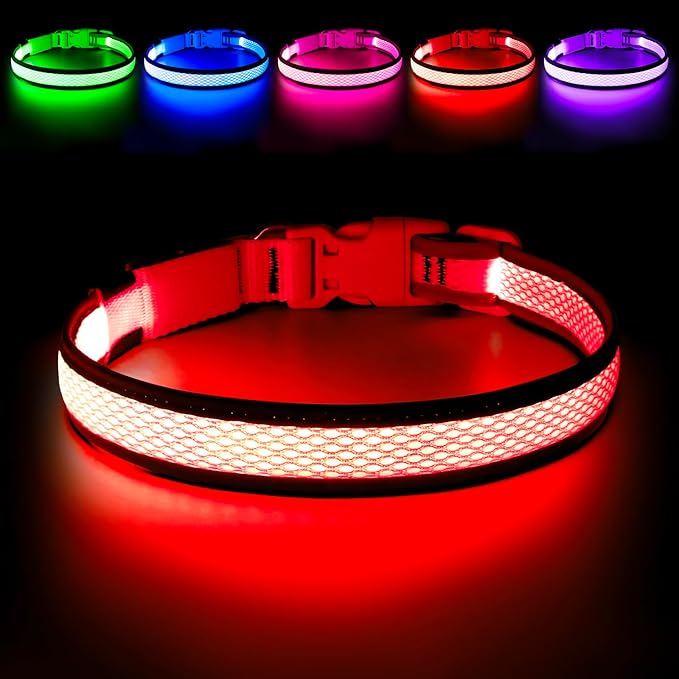 Flashseen LED Dog Collar, Light Up Dog Collar USB Rechargeable, Brightest Dog Lights for Night Walking, Adjustable Dog Collar Light for Dog Safety(Small, Ruby Red)-PawvioPets