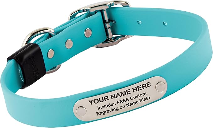 Biothane Custom Dog Collar – Waterproof, Stink-Proof Personalized Collar with Name & Phone Number – Durable, Many Sizes and Colors – Assembled in USA (Sky Blue)-PawvioPets