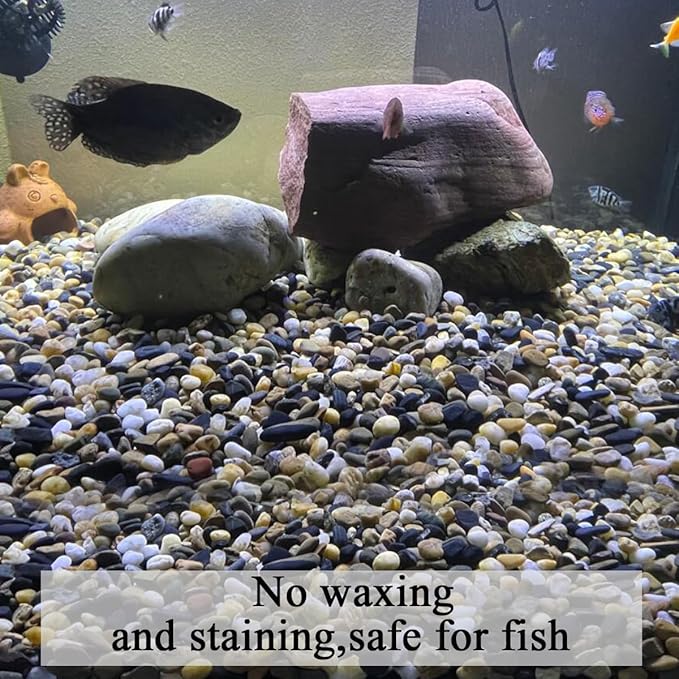 2lbs Aquarium Rocks, 2/5 Inch Pea Gravel for Indoor Plants, Decorative River Rocks for Fish Tank Succulent Vase Plant Soil Cover and Outdoor Landscaping-PawvioPets