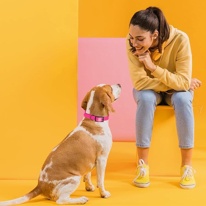 Dogline Biothane Waterproof Dog Collar Strong Coated Nylon Webbing with Black Hardware Odor- Proof for Easy Care Easy to Clean High Performance Fits Small Medium or Large Dogs, Passionfruit Pink-PawvioPets