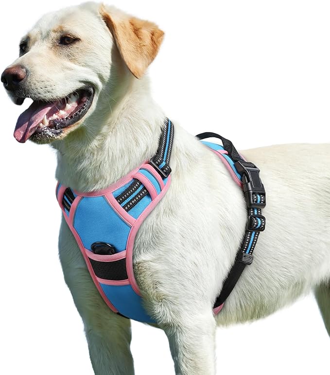 Eagloo Dog Harness for Large Dogs, No Pull Service Vest with Reflective Strips and Control Handle, Adjustable and Comfortable for Walking, No Choke Pet Harness with 2 Metal Rings, Pink & Blue, L-PawvioPets