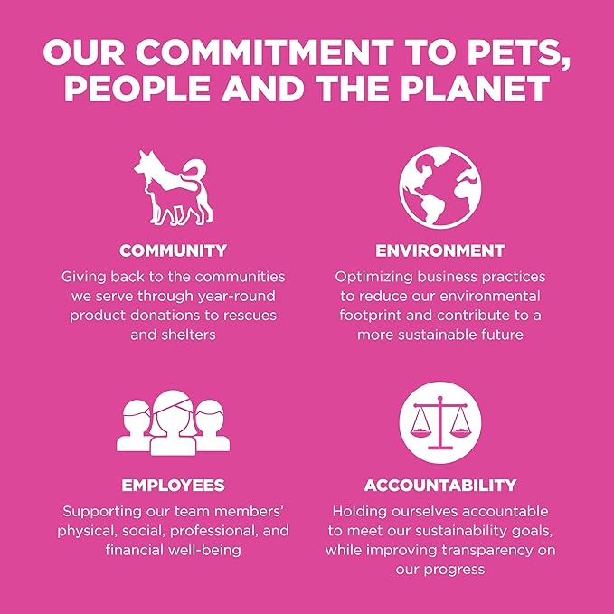 Go! Solutions Skin + Coat Care, Dry Cat Food, Chicken Recipe with Grains, 8 lb Bag-PawvioPets