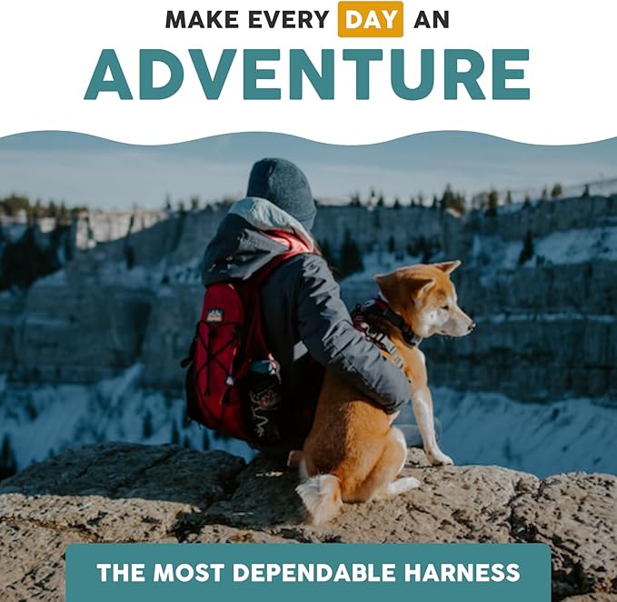 Embark Adventure Dog Harness, Reflective Trim XL Dog Harness for Extra Large Dogs No Pull - Military Grade Nylon, 2 Leash Clips & Gel Lined Handle.-PawvioPets