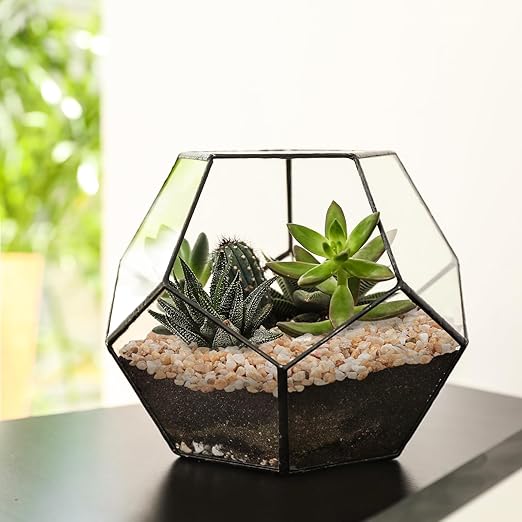 5 lbs Coarse Silica Sand for Indoor Plants, 1/5 Inch Natural Decorative Gravel for Vases, Aquariums, Terrarium, Fish Tank, Drainage Rocks for Potted Plants, Bamboo, Succulent, Crafts, Cactus-PawvioPets