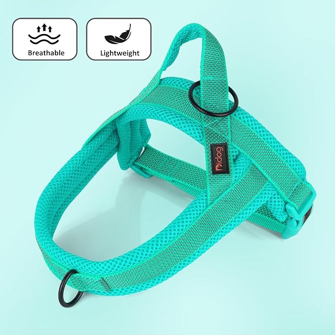 Didog No Pull Dog Harness with Breathable Mesh Padded, Full Reflective & Quick Fit Adjustable Vest Harness, Easy for Training Walking for Small & Medium and Large Dogs (Green, S:Chest 18-22")-PawvioPets